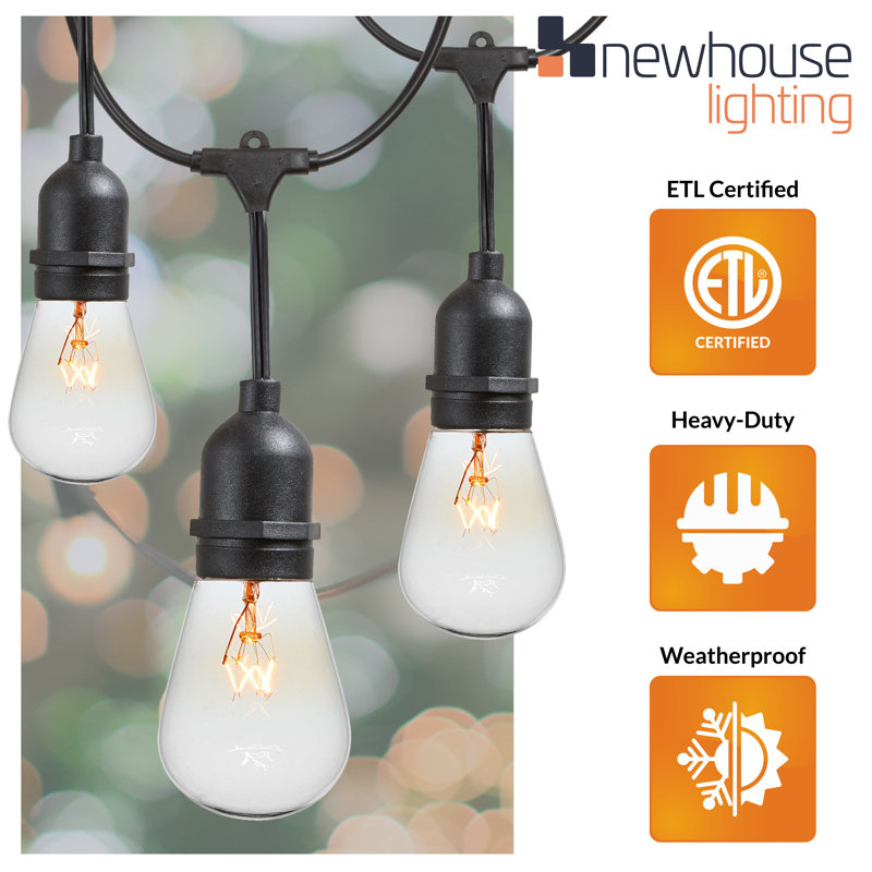 Joss & Main Taft Plug-In Outdoor String Lights & Reviews | Joss & Main